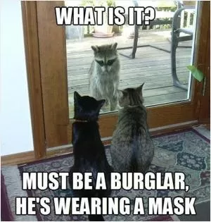 What is it? Must be a burglar, he’s wearing a mask Picture Quote #1