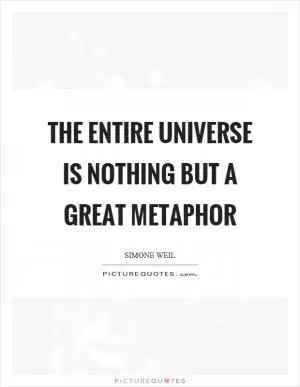 The entire universe is nothing but a great metaphor Picture Quote #1