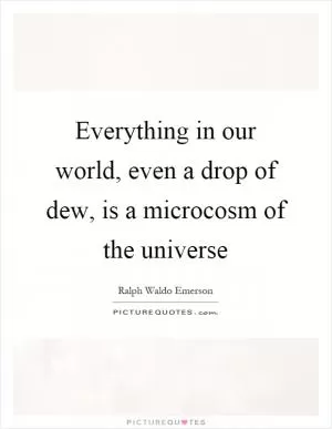 Everything in our world, even a drop of dew, is a microcosm of the universe Picture Quote #1