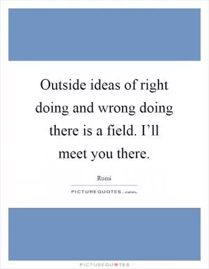 Outside ideas of right doing and wrong doing there is a field. I’ll meet you there Picture Quote #1