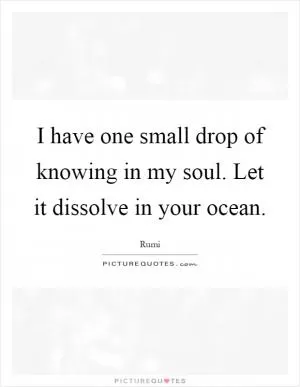 I have one small drop of knowing in my soul. Let it dissolve in your ocean Picture Quote #1