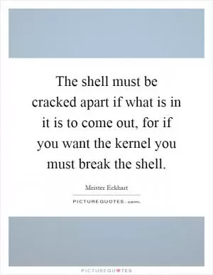 The shell must be cracked apart if what is in it is to come out, for if you want the kernel you must break the shell Picture Quote #1