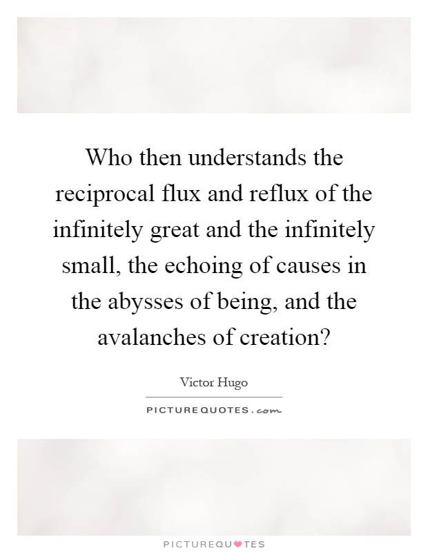 Who then understands the reciprocal flux and reflux of the infinitely great and the infinitely small, the echoing of causes in the abysses of being, and the avalanches of creation? Picture Quote #1