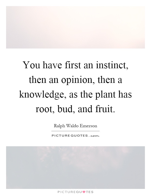You have first an instinct, then an opinion, then a knowledge, as the plant has root, bud, and fruit Picture Quote #1