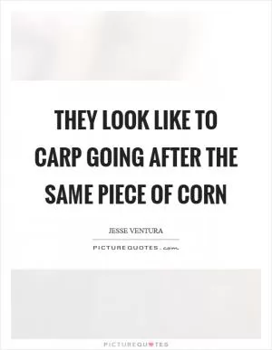 They look like to carp going after the same piece of corn Picture Quote #1