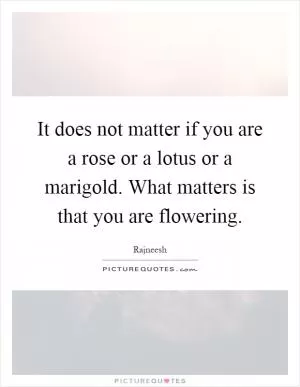 It does not matter if you are a rose or a lotus or a marigold. What matters is that you are flowering Picture Quote #1