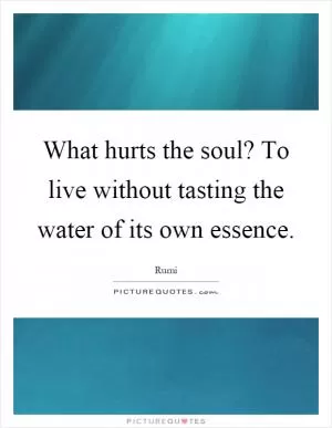 What hurts the soul? To live without tasting the water of its own essence Picture Quote #1