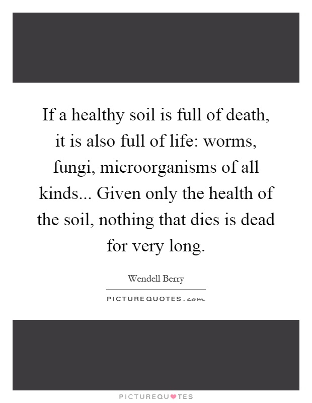 If a healthy soil is full of death, it is also full of life: worms, fungi, microorganisms of all kinds... Given only the health of the soil, nothing that dies is dead for very long Picture Quote #1