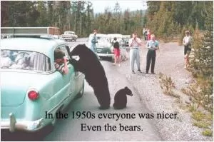 In the 1950’s everyone was nicer. Even the bears Picture Quote #1