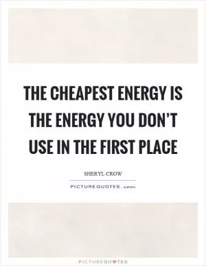 The cheapest energy is the energy you don’t use in the first place Picture Quote #1