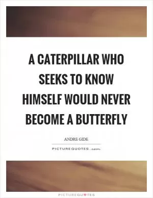 A caterpillar who seeks to know himself would never become a butterfly Picture Quote #1