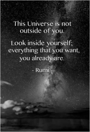 The universe is not outside you. Look inside yourself; everything that you want, you already are Picture Quote #1