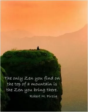 The only Zen you find at the top of the mountain is the Zen you bring with you Picture Quote #1