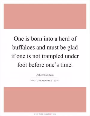 One is born into a herd of buffaloes and must be glad if one is not trampled under foot before one’s time Picture Quote #1