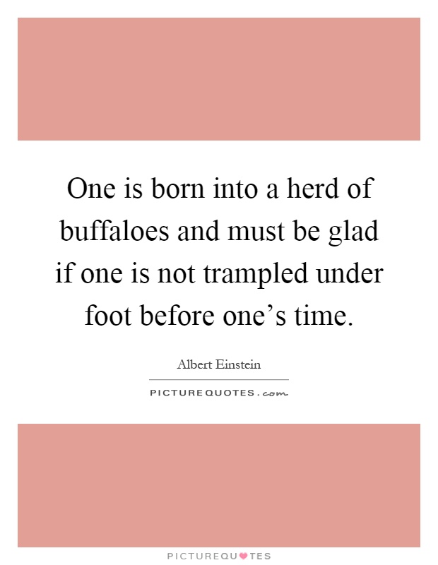 One is born into a herd of buffaloes and must be glad if one is not trampled under foot before one's time Picture Quote #1