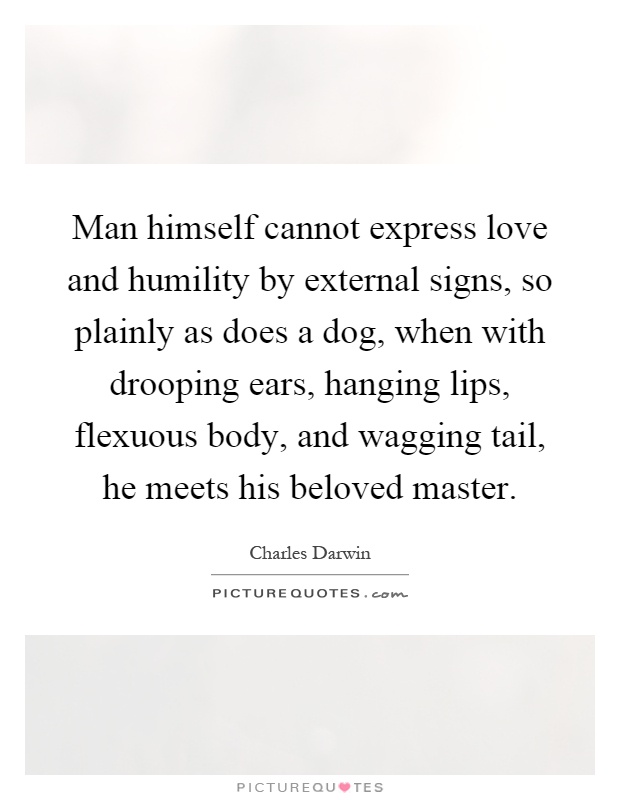 Man himself cannot express love and humility by external signs, so plainly as does a dog, when with drooping ears, hanging lips, flexuous body, and wagging tail, he meets his beloved master Picture Quote #1