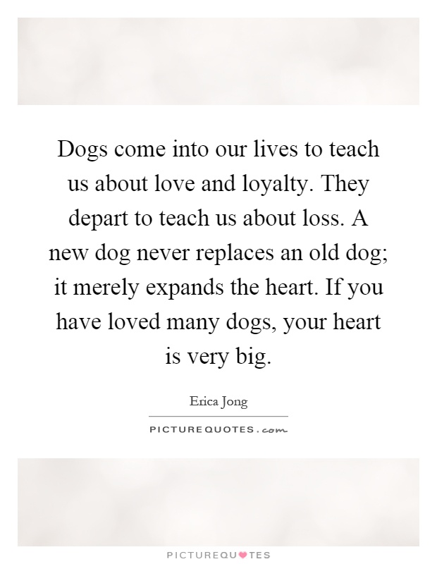 Dogs come into our lives to teach us about love and loyalty. They depart to teach us about loss. A new dog never replaces an old dog; it merely expands the heart. If you have loved many dogs, your heart is very big Picture Quote #1