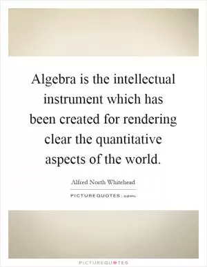 Algebra is the intellectual instrument which has been created for rendering clear the quantitative aspects of the world Picture Quote #1
