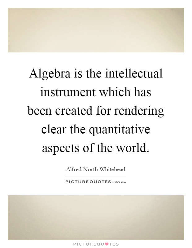 Algebra is the intellectual instrument which has been created for rendering clear the quantitative aspects of the world Picture Quote #1