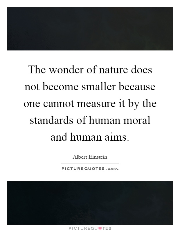 The wonder of nature does not become smaller because one cannot measure it by the standards of human moral and human aims Picture Quote #1