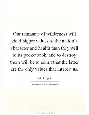 Our remnants of wilderness will yield bigger values to the nation’s character and health than they will to its pocketbook, and to destroy them will be to admit that the latter are the only values that interest us Picture Quote #1