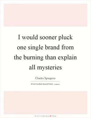 I would sooner pluck one single brand from the burning than explain all mysteries Picture Quote #1