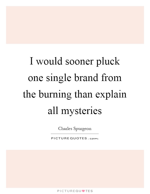 I would sooner pluck one single brand from the burning than explain all mysteries Picture Quote #1