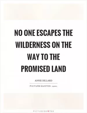 No one escapes the wilderness on the way to the promised land Picture Quote #1