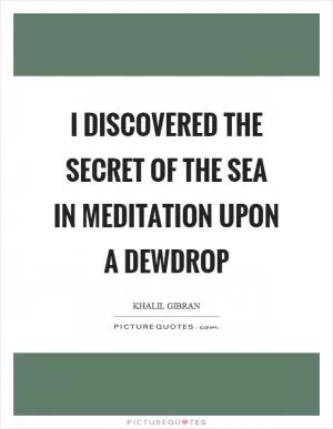 I discovered the secret of the sea in meditation upon a dewdrop Picture Quote #1