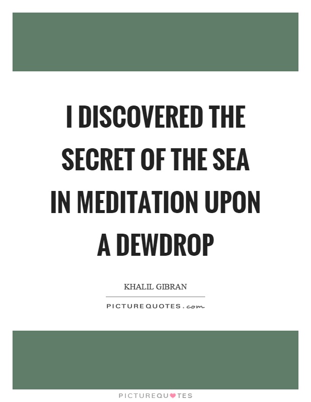 I discovered the secret of the sea in meditation upon a dewdrop Picture Quote #1