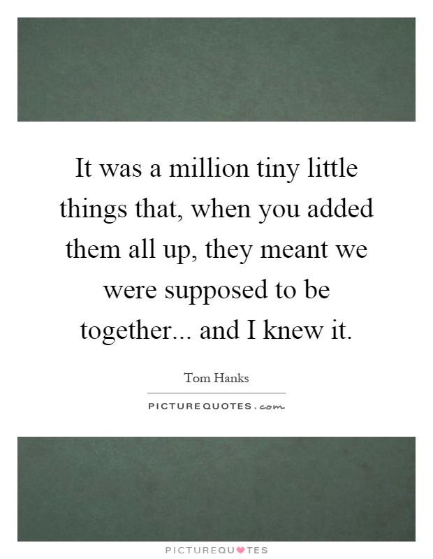 It was a million tiny little things that, when you added them all up, they meant we were supposed to be together... and I knew it Picture Quote #1