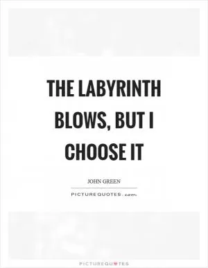 The labyrinth blows, but I choose it Picture Quote #1