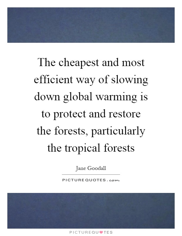 The cheapest and most efficient way of slowing down global warming is to protect and restore the forests, particularly the tropical forests Picture Quote #1