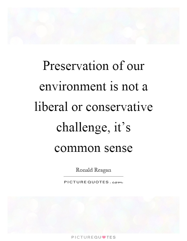 Preservation of our environment is not a liberal or conservative challenge, it's common sense Picture Quote #1