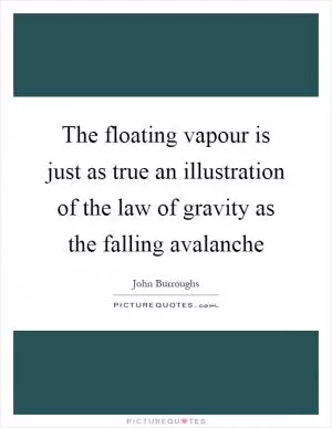 The floating vapour is just as true an illustration of the law of gravity as the falling avalanche Picture Quote #1