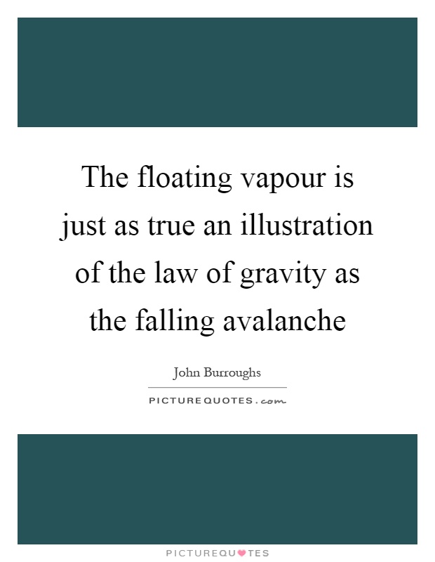 The floating vapour is just as true an illustration of the law of gravity as the falling avalanche Picture Quote #1