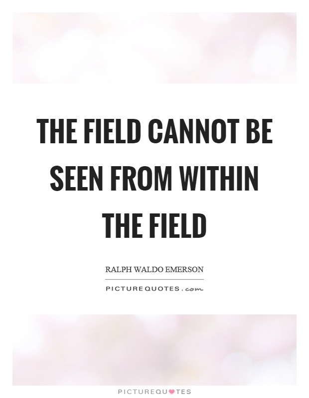 The field cannot be seen from within the field Picture Quote #1