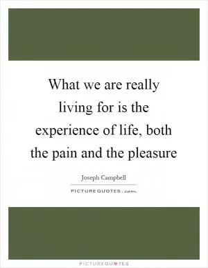 What we are really living for is the experience of life, both the pain and the pleasure Picture Quote #1