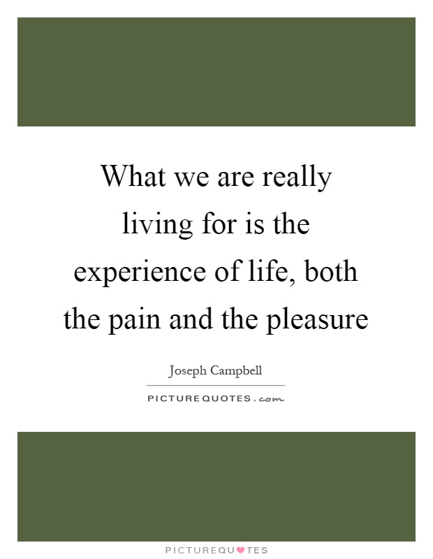 What we are really living for is the experience of life, both the pain and the pleasure Picture Quote #1