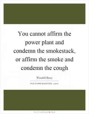 You cannot affirm the power plant and condemn the smokestack, or affirm the smoke and condemn the cough Picture Quote #1