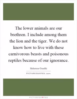 The lower animals are our brethren. I include among them the lion and the tiger. We do not know how to live with these carnivorous beasts and poisonous reptiles because of our ignorance Picture Quote #1