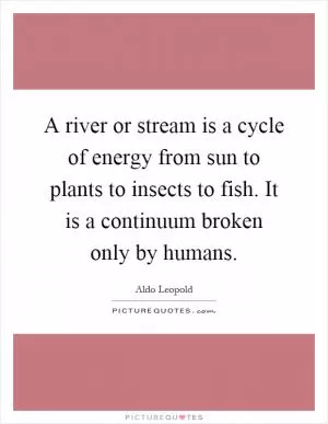 A river or stream is a cycle of energy from sun to plants to insects to fish. It is a continuum broken only by humans Picture Quote #1