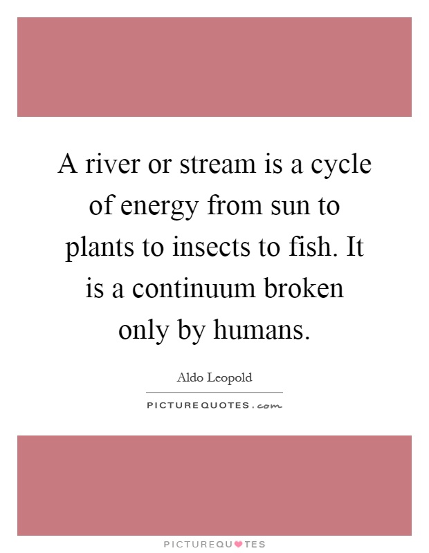 A river or stream is a cycle of energy from sun to plants to insects to fish. It is a continuum broken only by humans Picture Quote #1