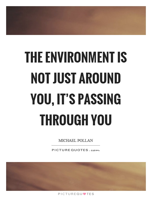 The environment is not just around you, it's passing through you Picture Quote #1