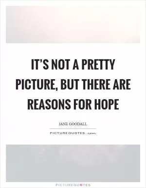 It’s not a pretty picture, but there are reasons for hope Picture Quote #1