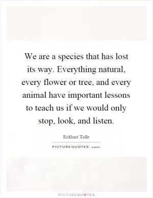 We are a species that has lost its way. Everything natural, every flower or tree, and every animal have important lessons to teach us if we would only stop, look, and listen Picture Quote #1