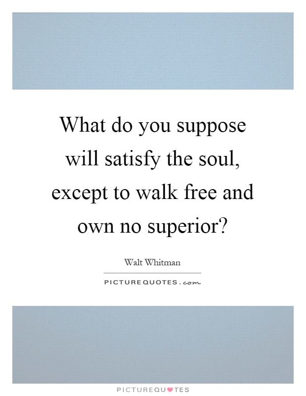 What do you suppose will satisfy the soul, except to walk free and own no superior? Picture Quote #1