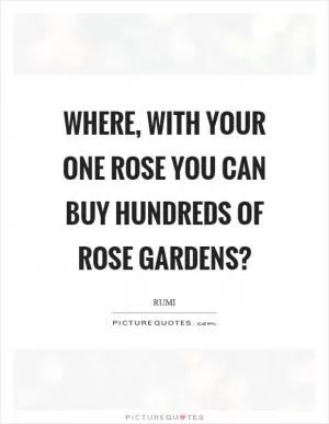 Where, with your one rose you can buy hundreds of rose gardens? Picture Quote #1