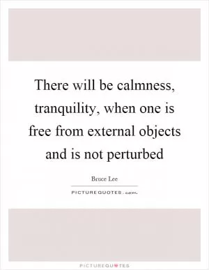 There will be calmness, tranquility, when one is free from external objects and is not perturbed Picture Quote #1