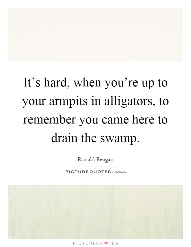 It's hard, when you're up to your armpits in alligators, to remember you came here to drain the swamp Picture Quote #1
